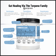 Load image into Gallery viewer, Gut Healing via plant-based essential oils naturally producing terpenes to clean cell receptors, reprogram cell memory and oxygenate cells to prevent disease. Gently supports normal gut function in 30-day increments