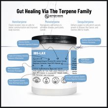 Load image into Gallery viewer, Gut Healing via plant-based essential oils naturally producing terpenes to clean cell receptors, reprogram cell memory and oxygenate cells to prevent disease. Gently supports normal gut function in 30-day increments