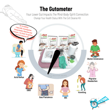 Load image into Gallery viewer, The Gutometer Infograph explains the colon-gut impact on the mind-body-spirit connection. You can change the health status of gluten intolerance, migraine headaches, vomiting, IBS, gas/flatulence, SIBO, acid reflux, hemorrhoids, constipation, diarrhea, fissures, fistulas and much more when you utilize the exit cleanse kit to properly hydrate your gut for removing stagnant data dumps (poop) contributing to gut malfunction and bodily disease. Take action now to secure the exit cleanse kit